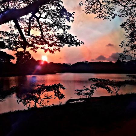 Lake View Dambulla Exteriér fotografie