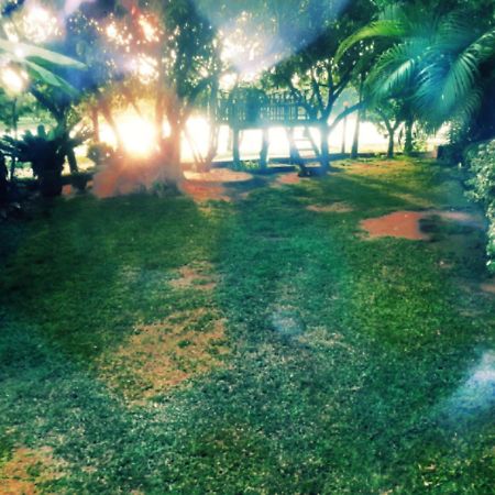 Lake View Dambulla Exteriér fotografie