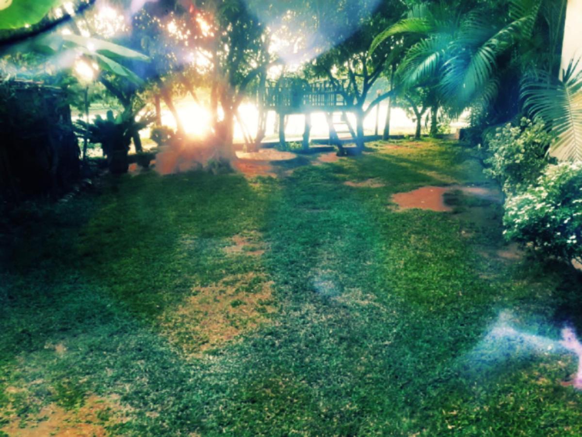 Lake View Dambulla Exteriér fotografie