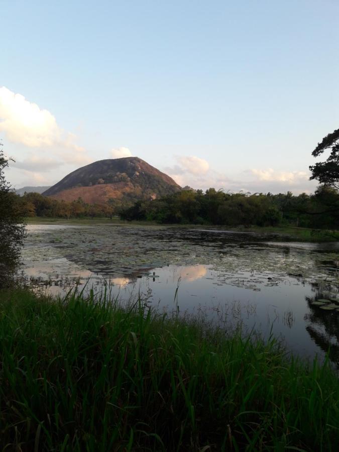 Lake View Dambulla Exteriér fotografie