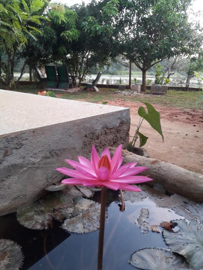 Lake View Dambulla Exteriér fotografie