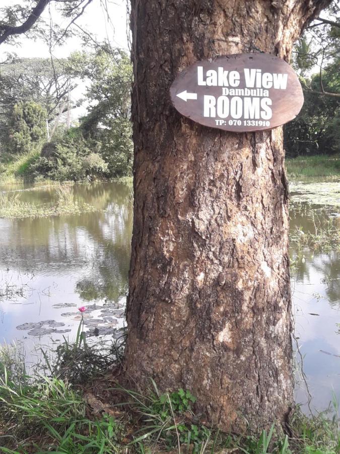 Lake View Dambulla Exteriér fotografie